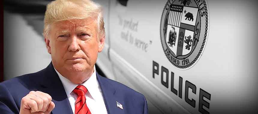 Trump's Immigration Crackdown: We Voted for This